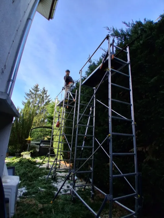 Taille haute d'une haie a Bourg En Bresse 