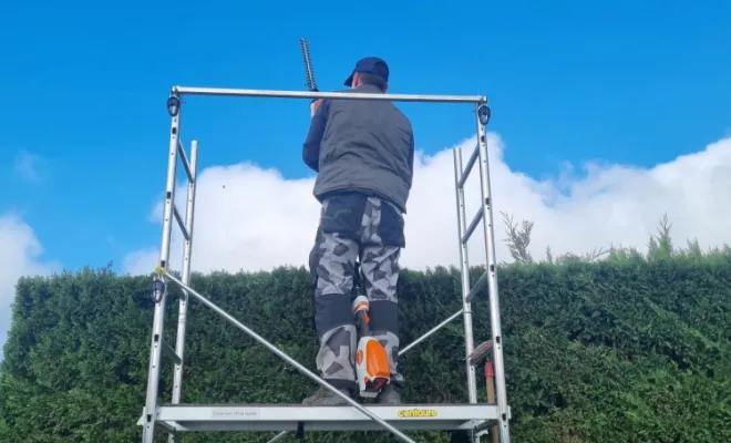 Taille de Haie imposante Bourg en Bresse Jardin et nature