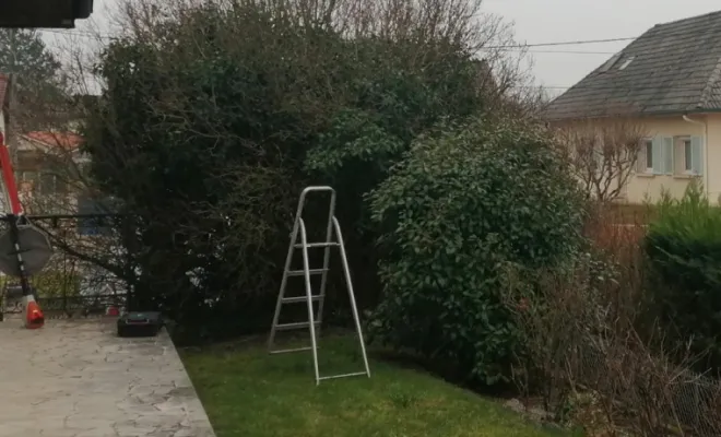 Nettoyage lilas Saint Denis les bourg, Bourg-en-Bresse, Jardins et Natures