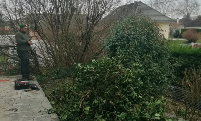 400 kilo le lierre enlever